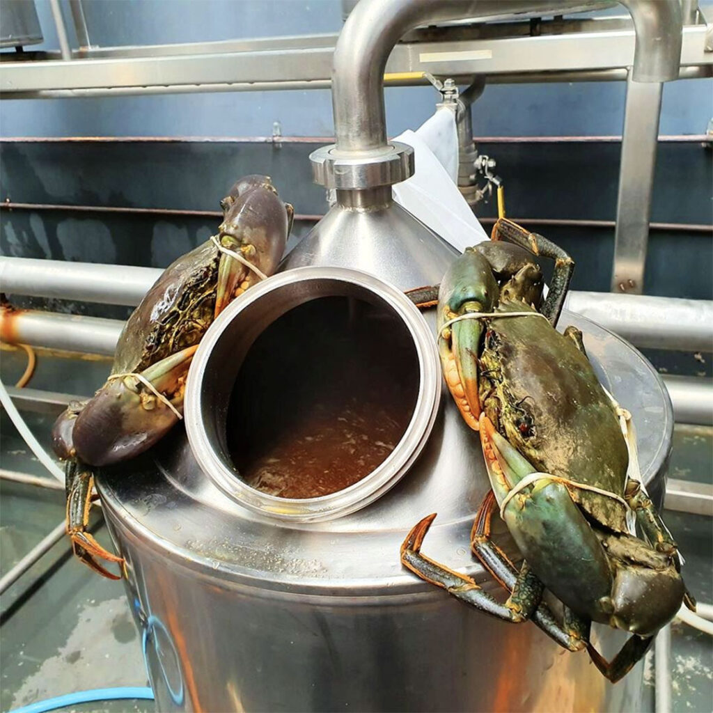 Mud crab is one of the 120 weird ingredients discussed.