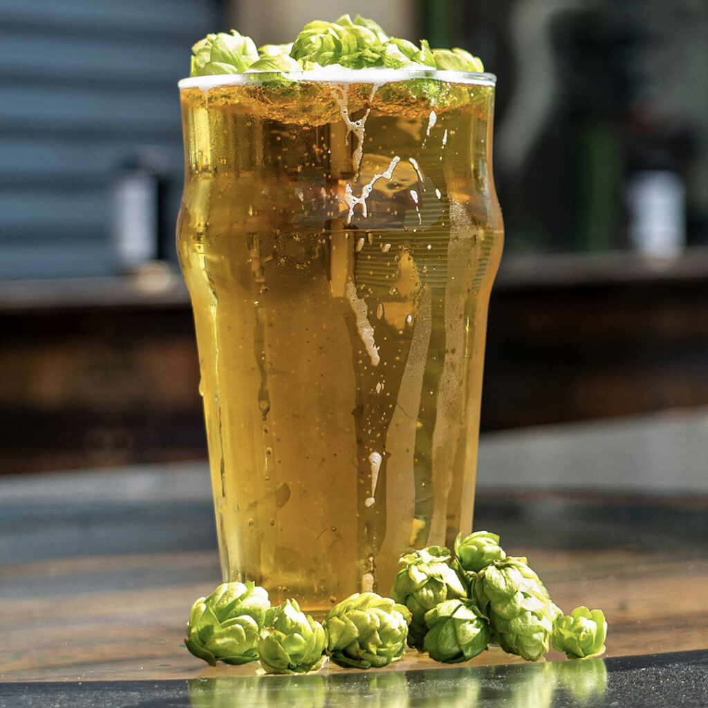 Hop