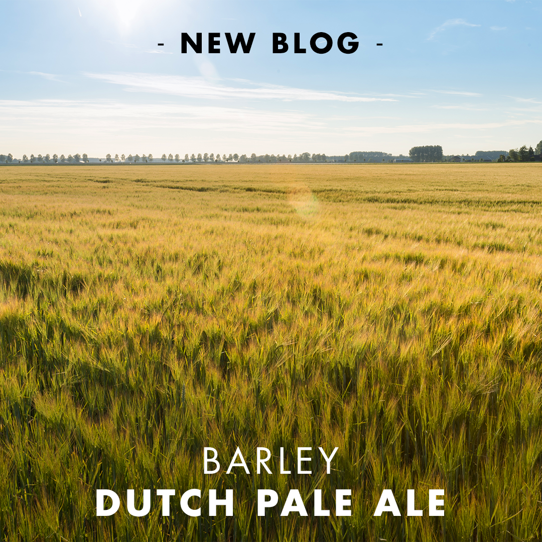 Barley Dutch Pale Ale