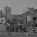 1923