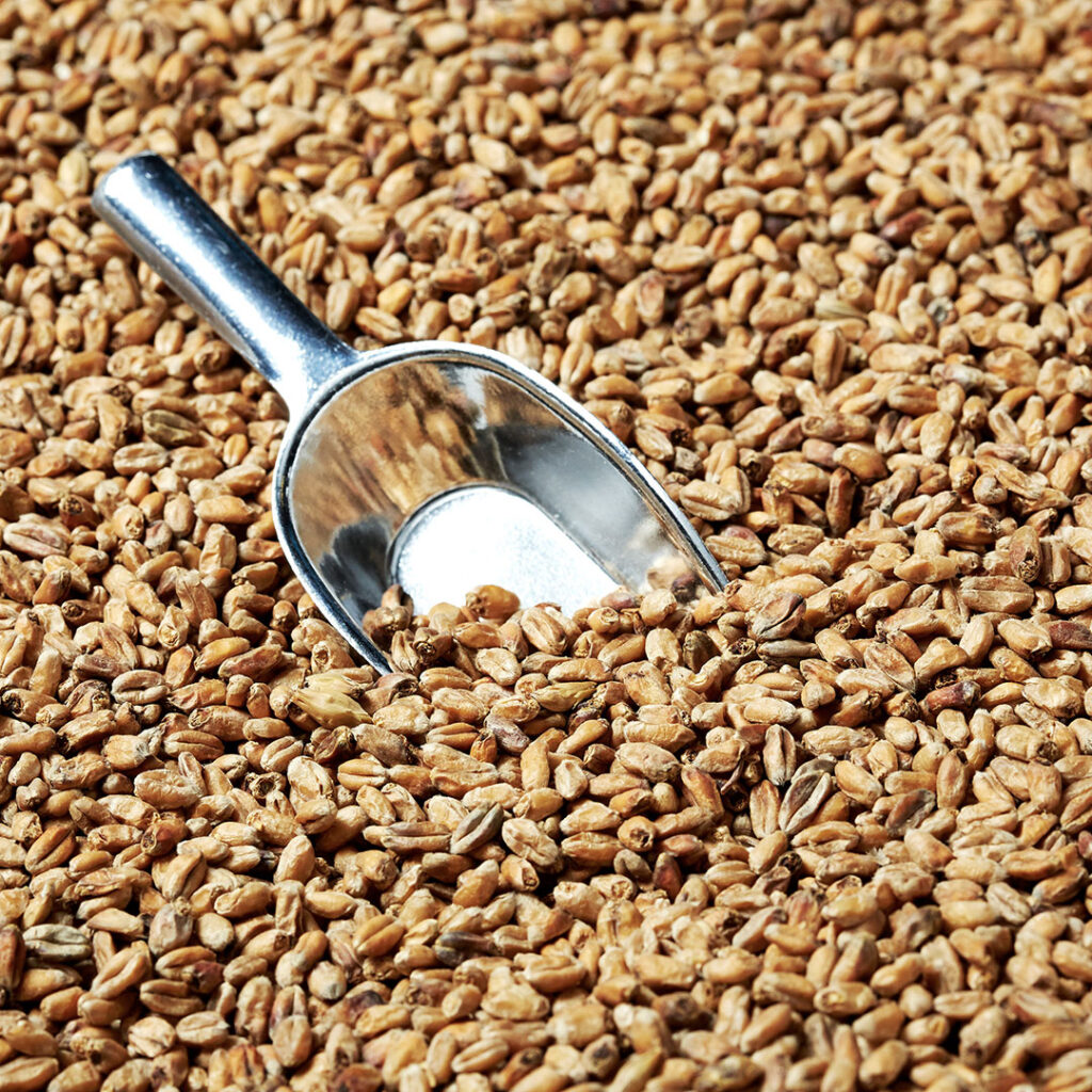 Swaen Wheat Dark