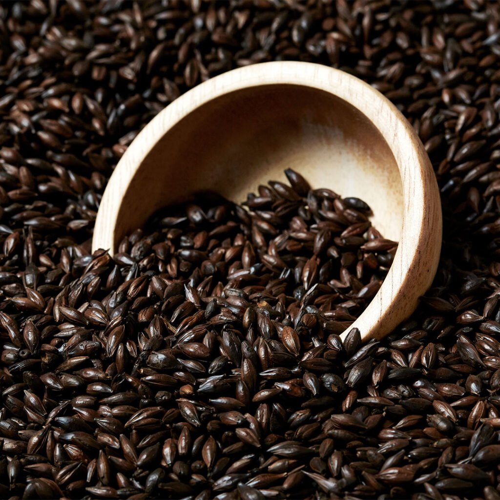 Black Swaen Barley