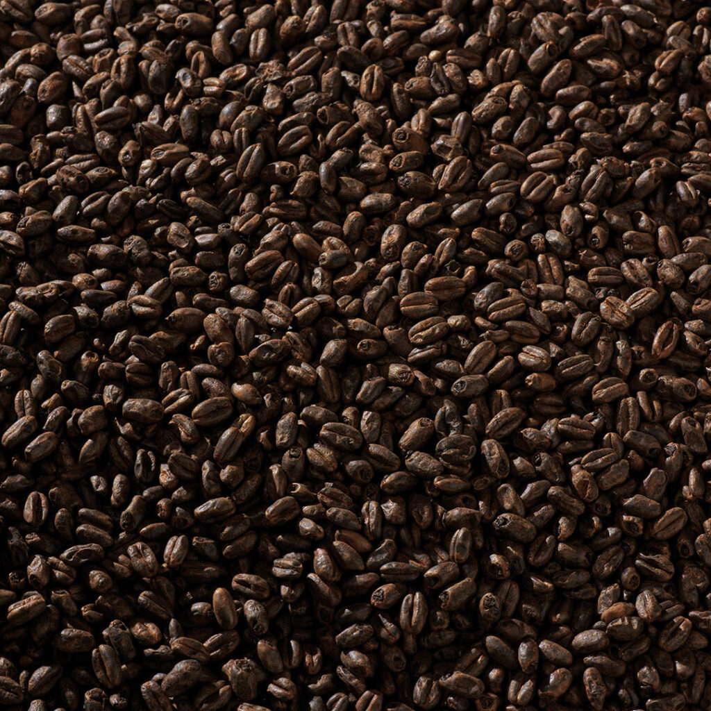 Black Swaen Chocolate Wheat