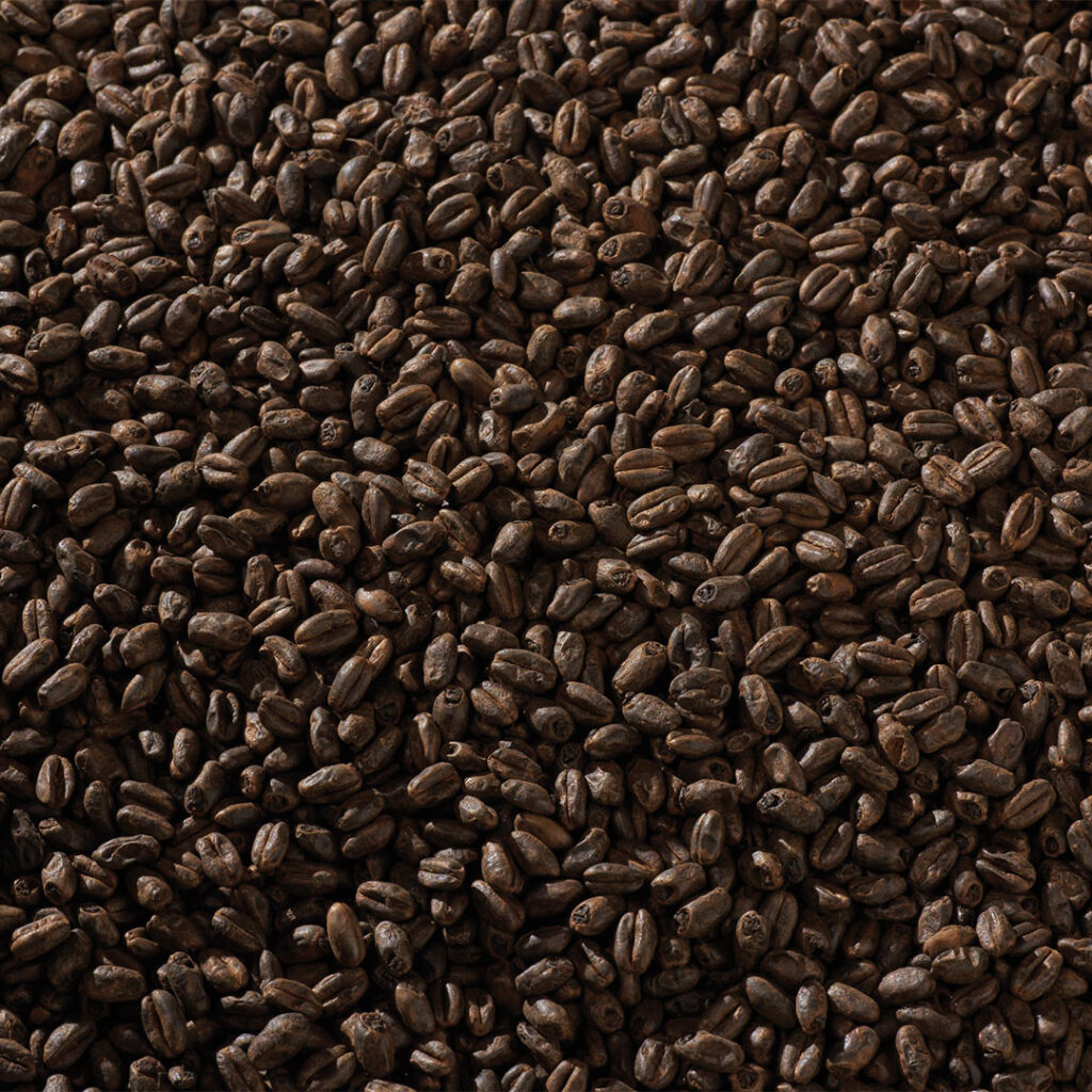 Black Swaen Coffee Wheat Light