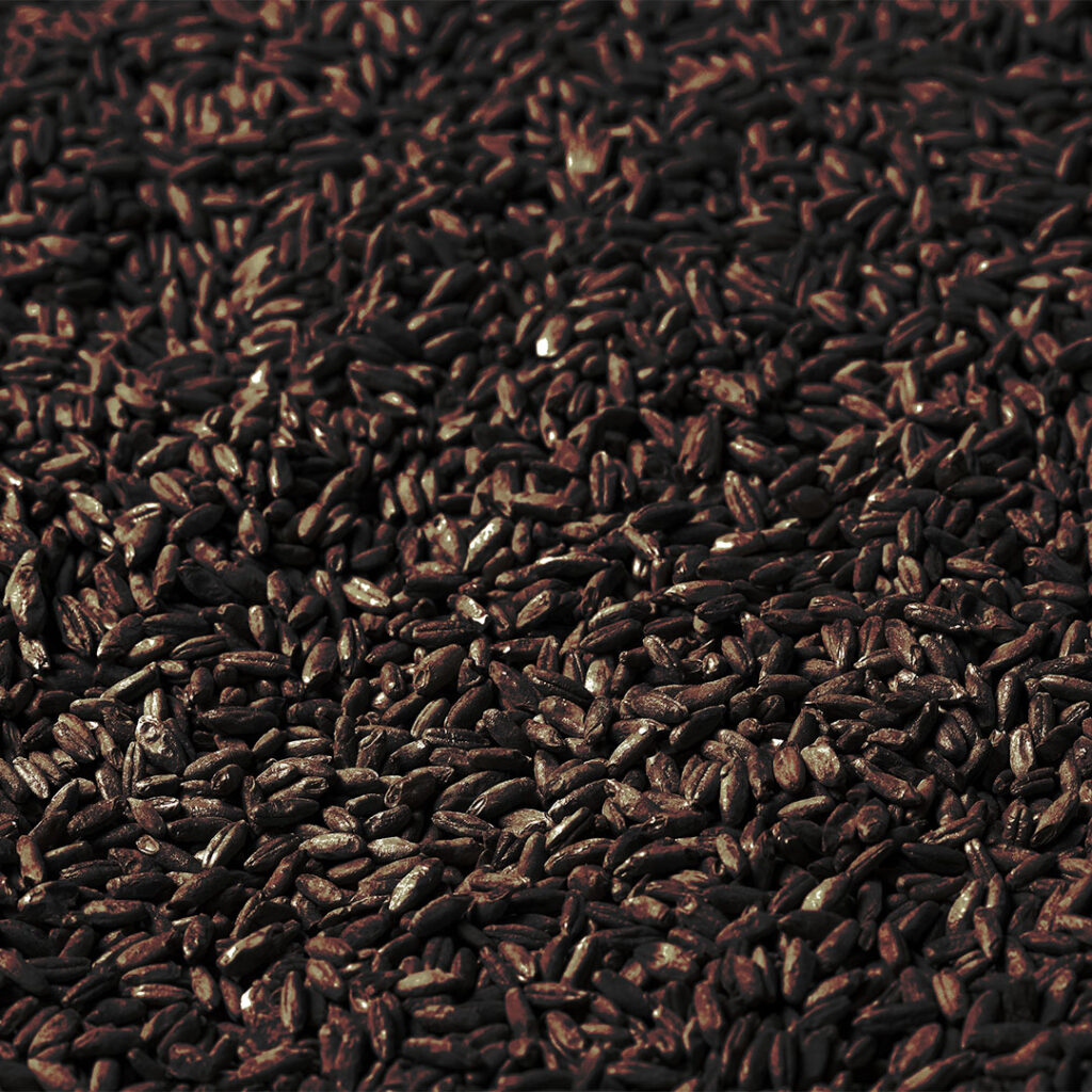 Black Swaen Rye