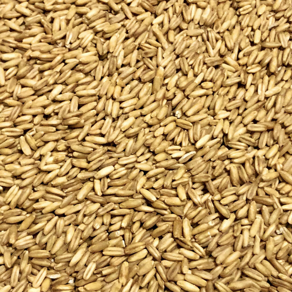 Gold Swaen Oat