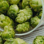 IPA