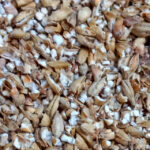 Crushing malt