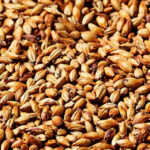 Gold Swaen Amber