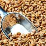 Swaen Wheat Dark