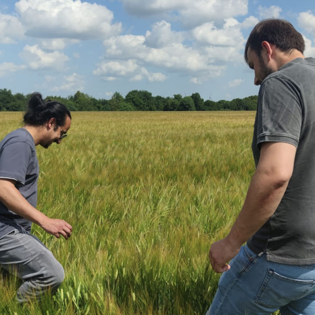 Crop Report 2025