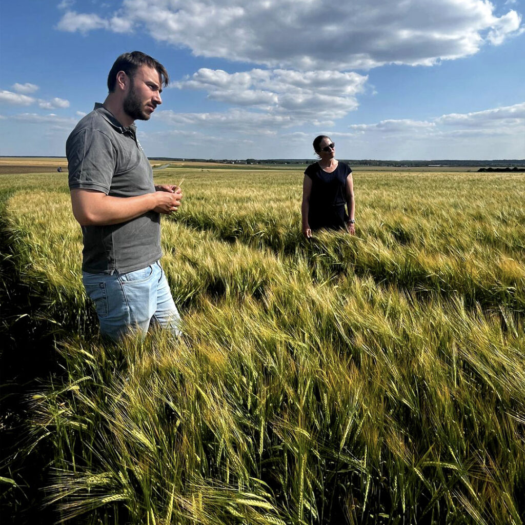 Crop Report 2025