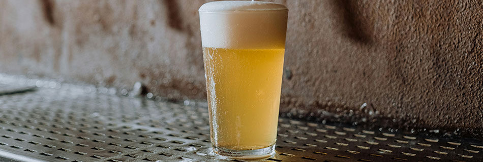 Body Vs Fermentability
