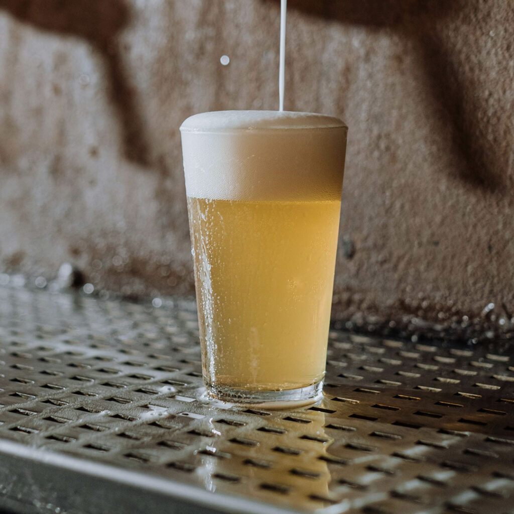 Body Vs Fermentability