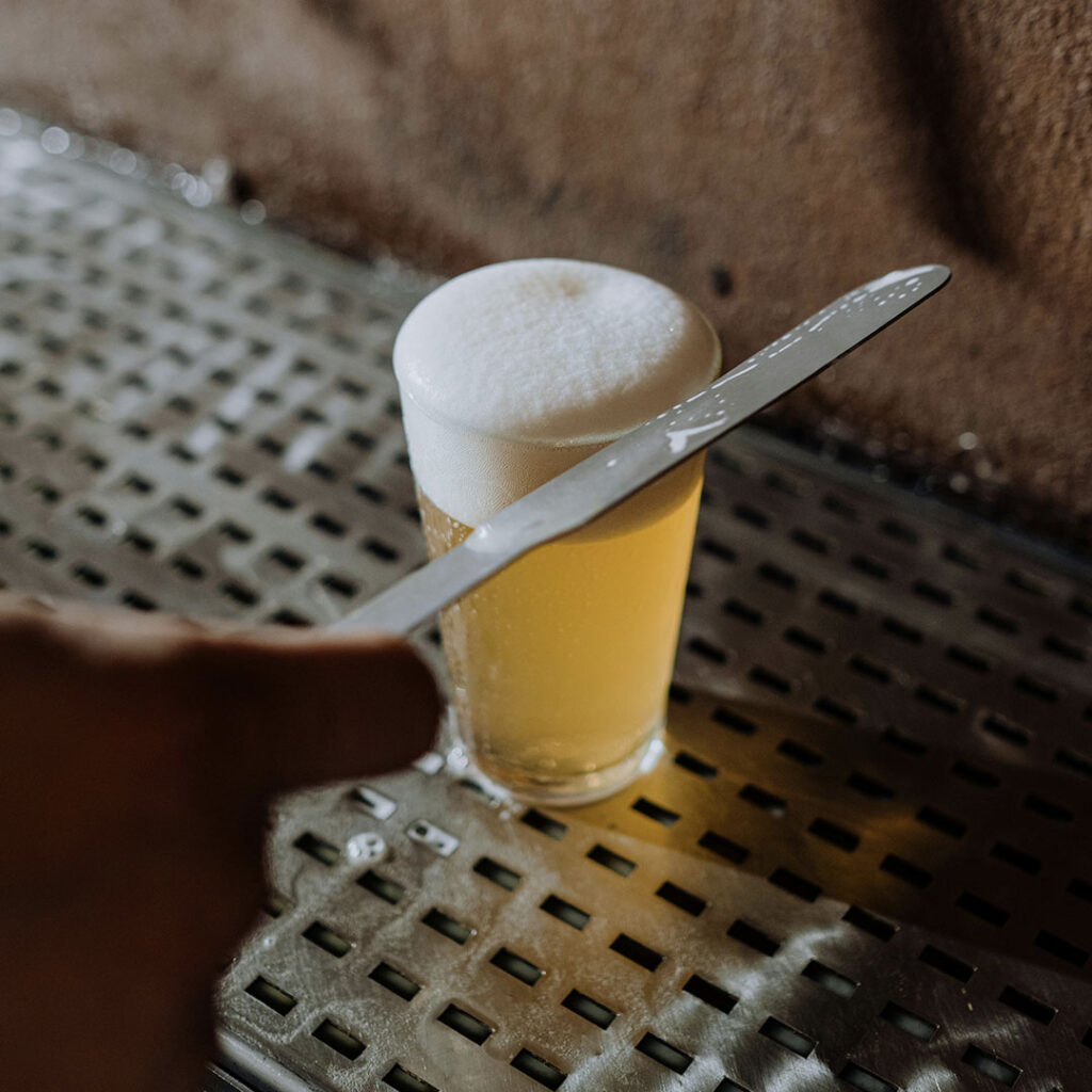 Body Vs Fermentability