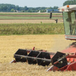 Loan Malt