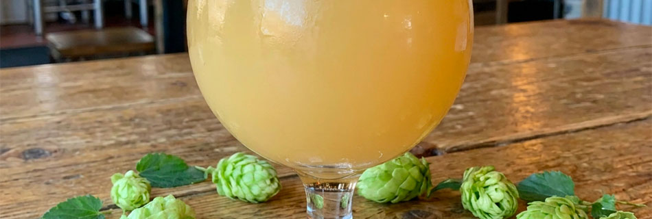 Modern Hazy IPA