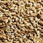 Platinum Swaen Dextrin