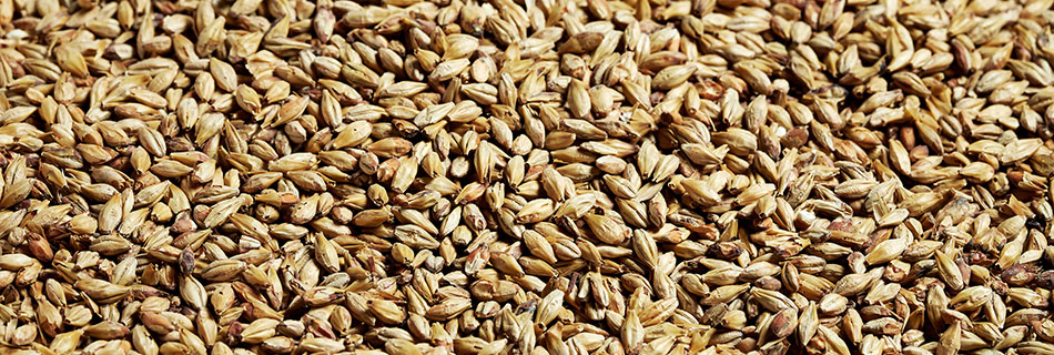 Platinum Swaen Dextrin