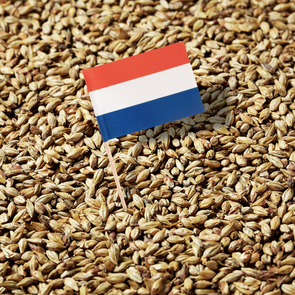 Swaen Dutch Pilsner