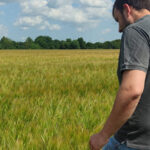 Crop Report 2025