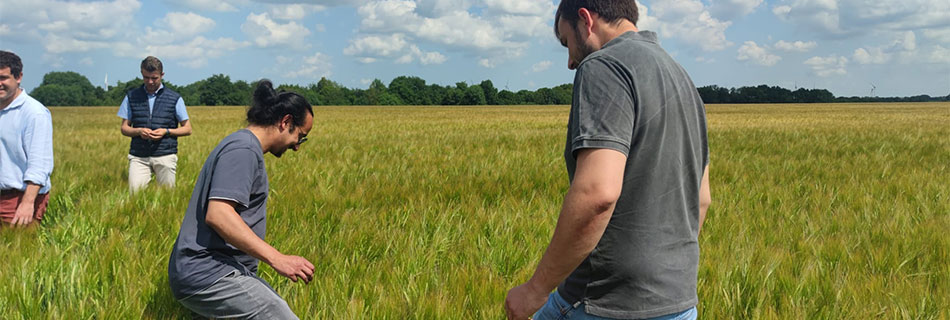 Crop Report 2025