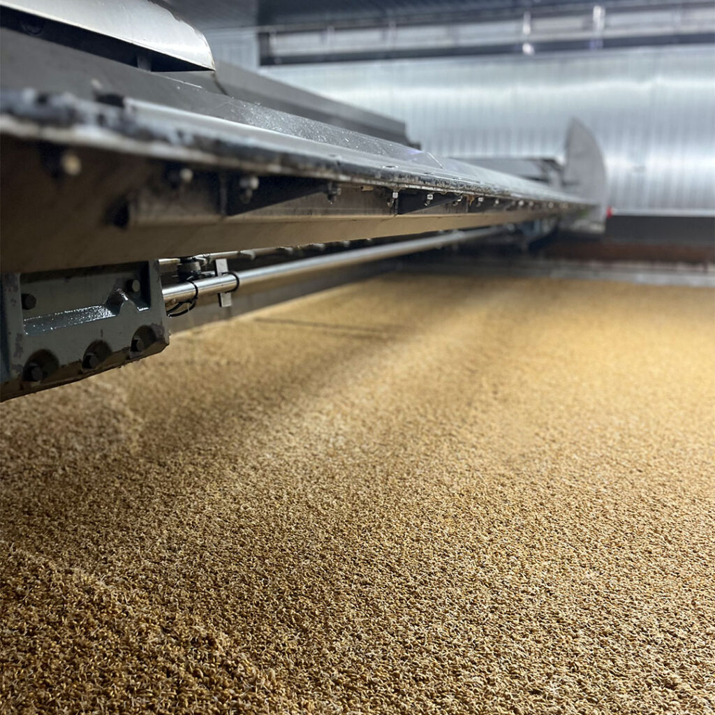 Production Team Leader Malting vacancy